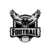 American Football logo 23